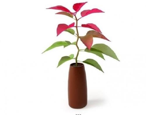 ͻƣйͱ׼ֱ7.7%11.3%